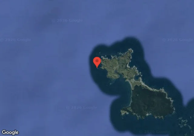 The Bookcase, Great Mercury Island