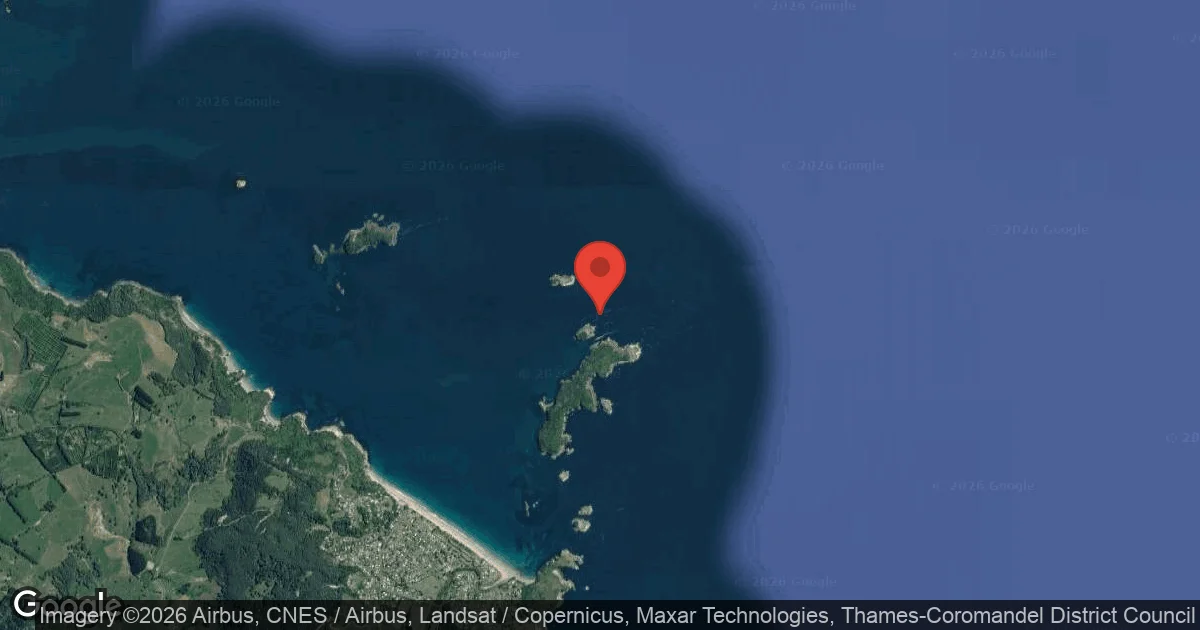 Dive site - The Long Drop, New Zealand