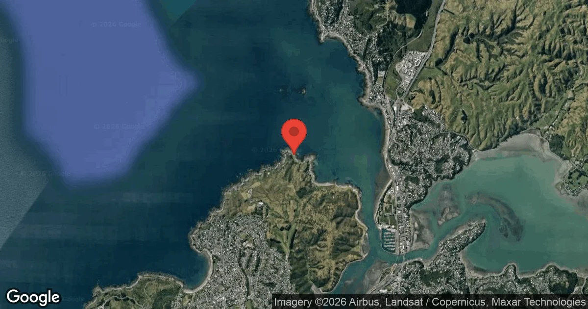 Dive site - Whitireia Park, New Zealand