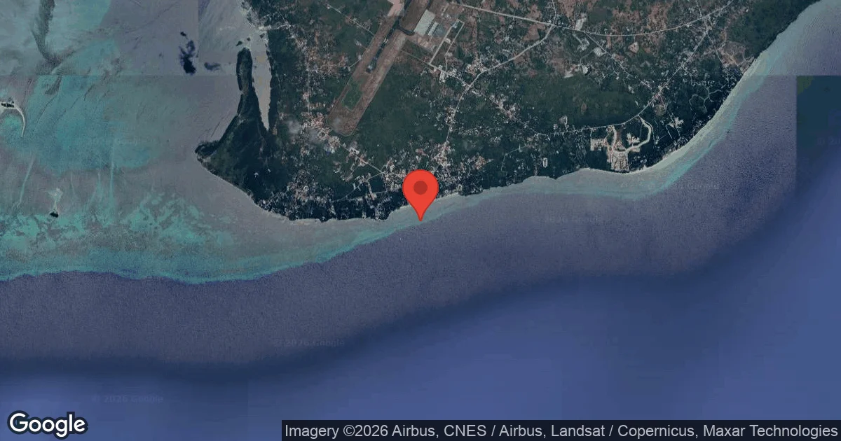 Alona Beach House Reef