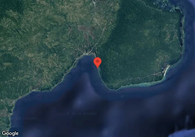 Dive site - Panorama Reef, Philippines