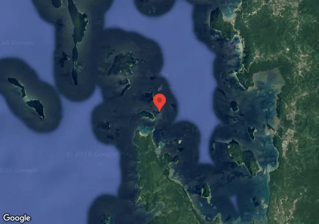 Dive site - Popolcan West (Under Water Forrest), Philippines