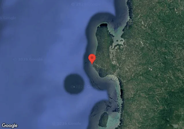 Dive site - Sardine Ball, Philippines