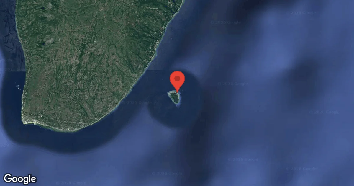 Shark Point