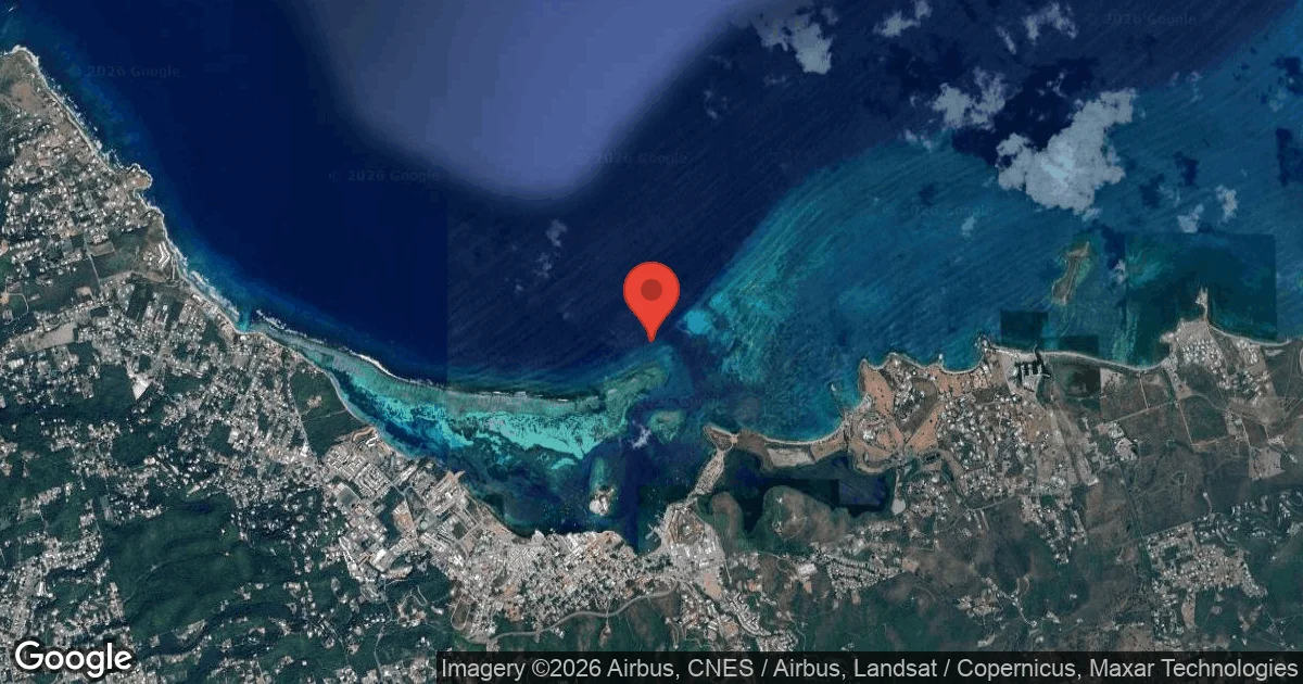 Dive site - Eagle Ray, Puerto Rico