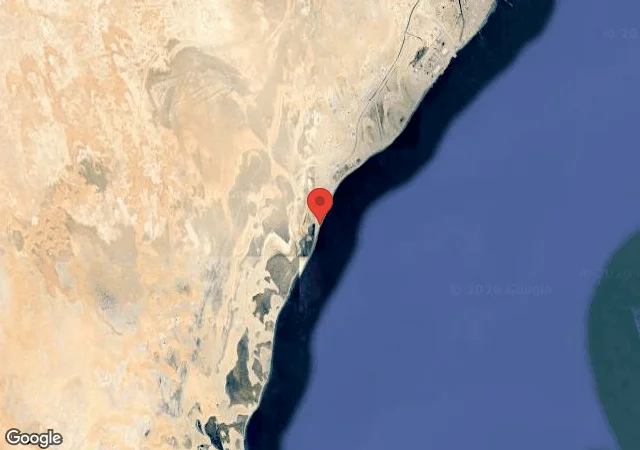 Dive site - New Club Reef, Qatar