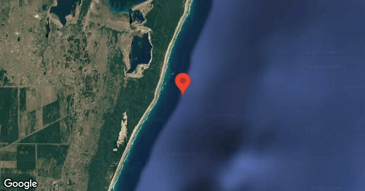 Dive site - 9 Mile Reef, South Africa