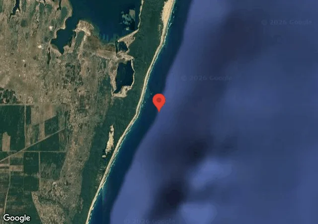 Dive site - 9 Mile Reef, South Africa