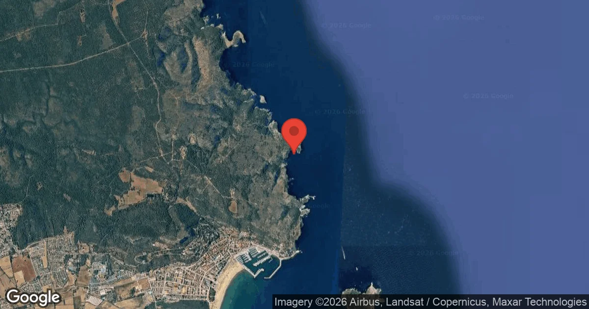 Negre del Falaguer