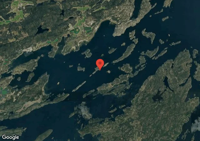 Gröne JÀgaren
