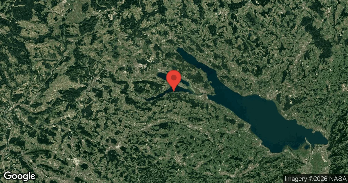 Berlingen Wildsau