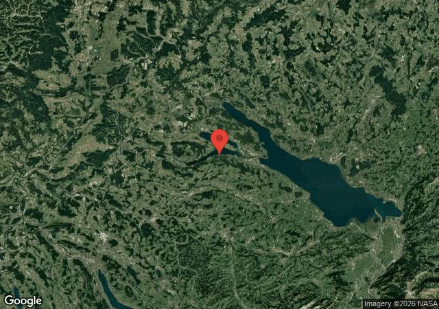 Berlingen Wildsau