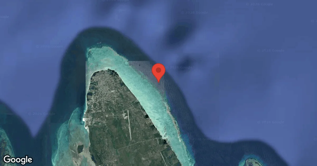 Dive site - Haji, Tanzania
