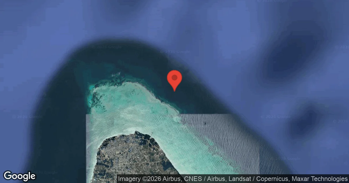 Dive site - Kichafi, Tanzania