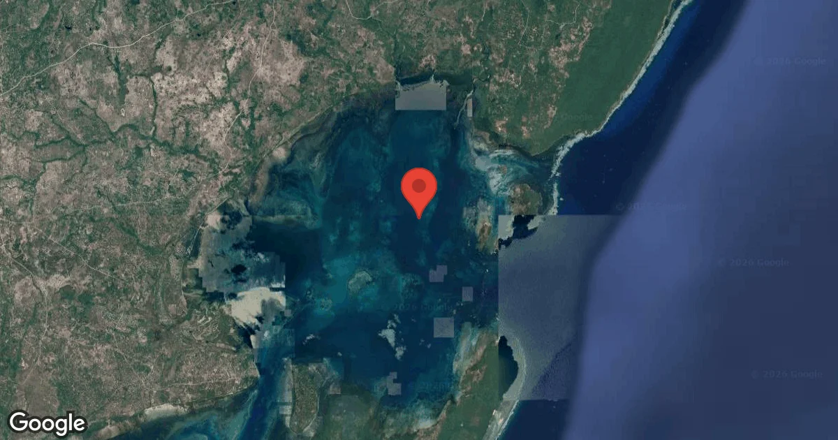 Dive site - Milimani South, Tanzania