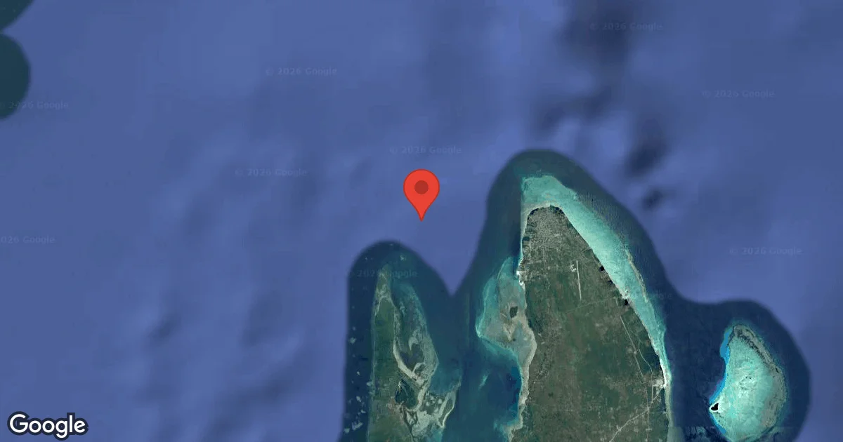 Dive site - Nankiville, Tanzania