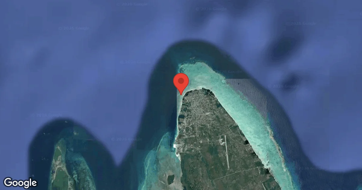 Shane's Reef