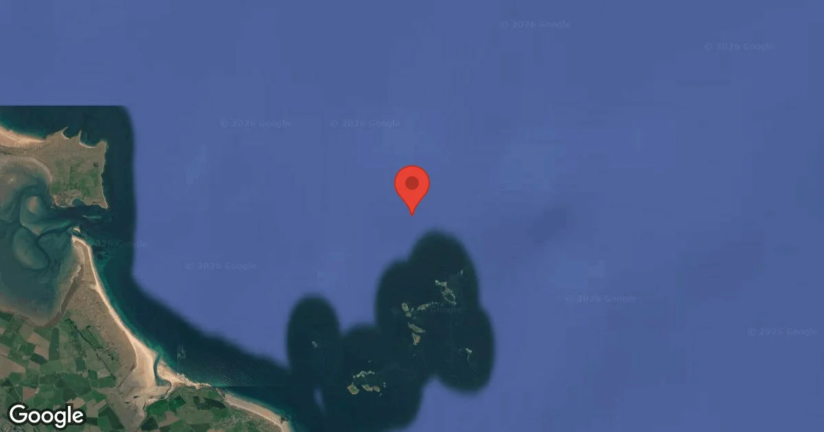 Dive site - Farne Islands, United Kingdom