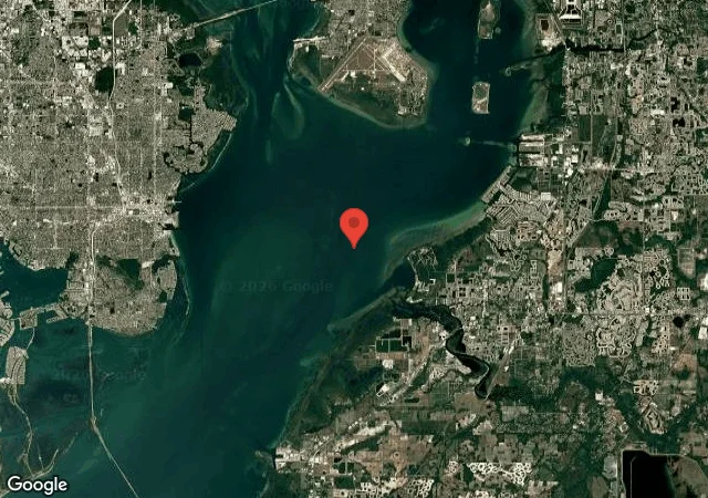 Dive site - Bahia Beach Reef (Bay), United States