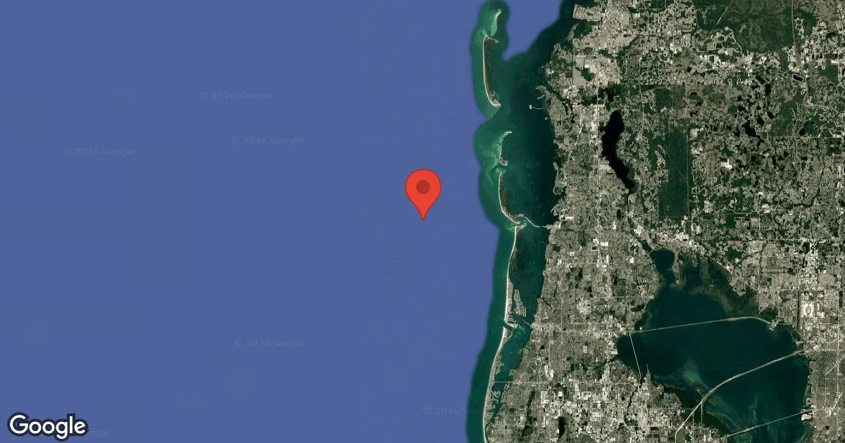 Dunedin Reef Site D