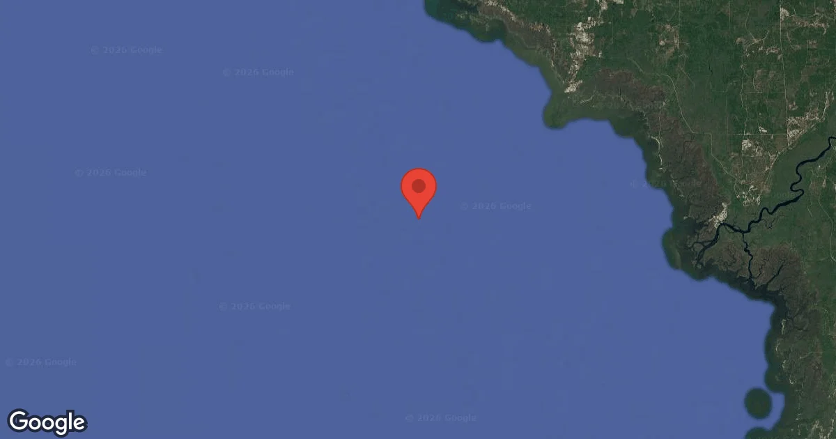 Dive site - Horseshoe Beach Reef Site E1, United States