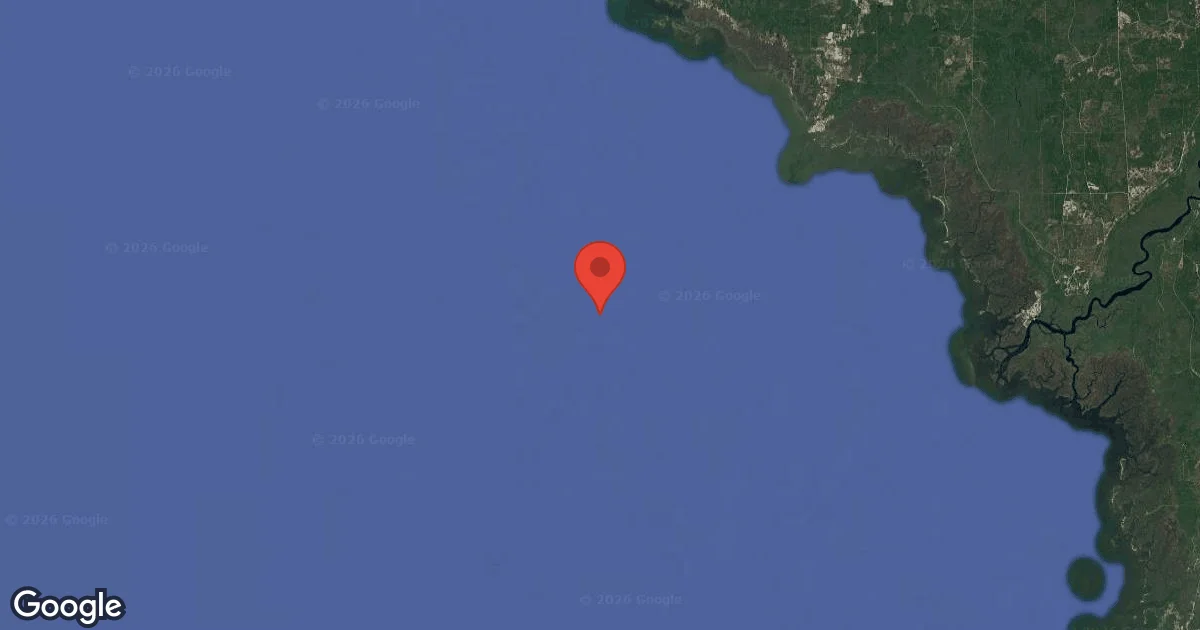 Dive site - Horseshoe Beach Reef Site E2, United States