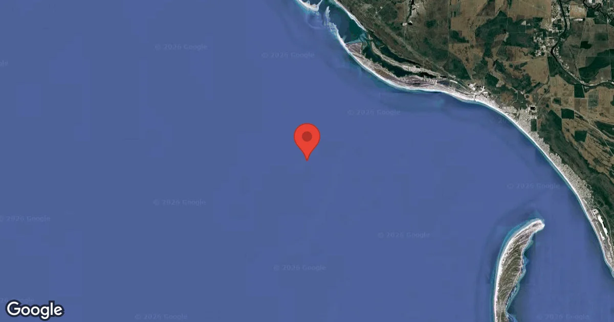 Mako Shark Reef
