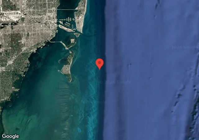 Neptune Memorial Reef