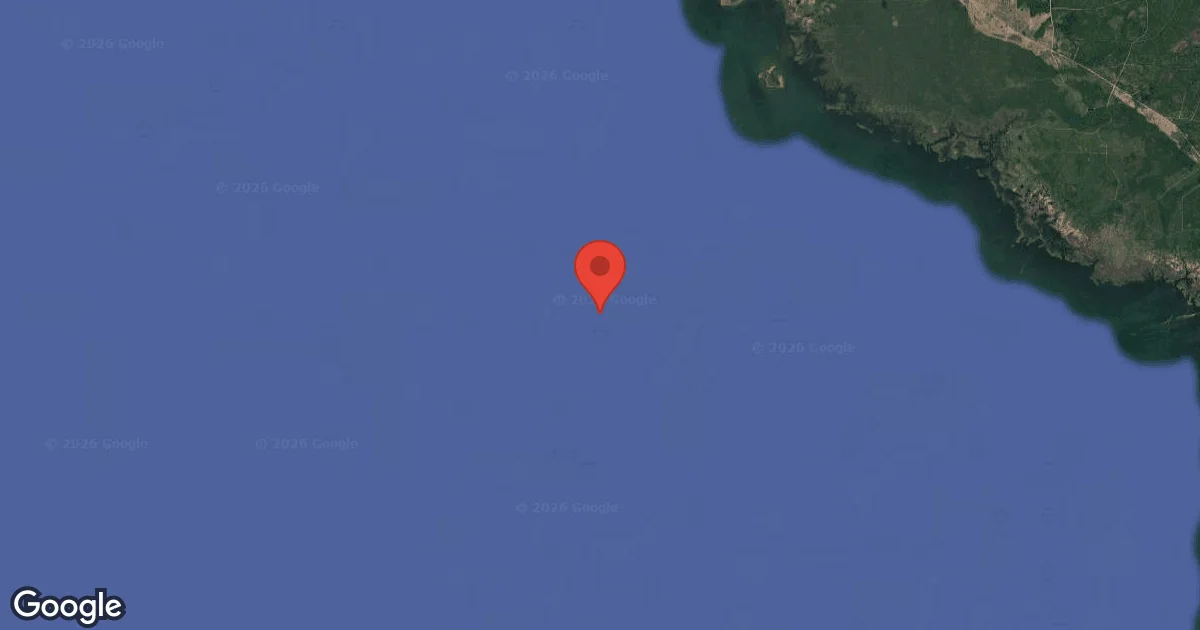 Steinhatchee Reef