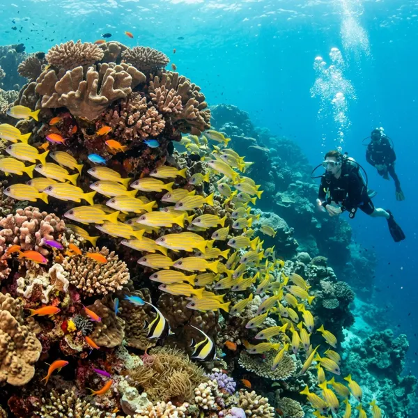 Banana Reef