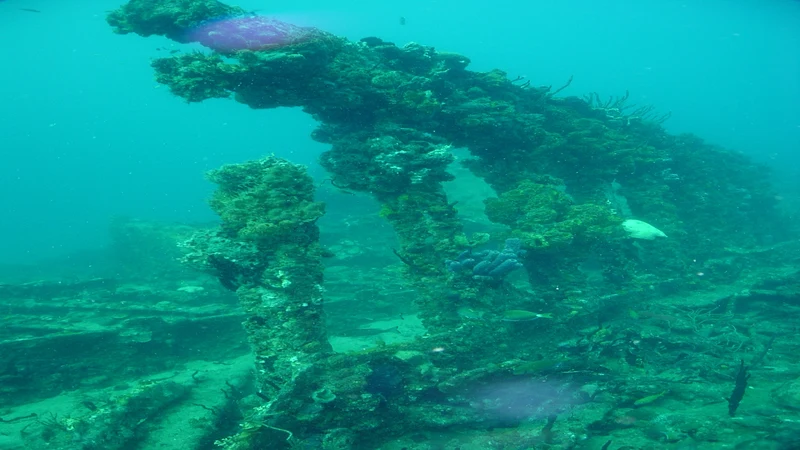 Wreck Diving in Canada