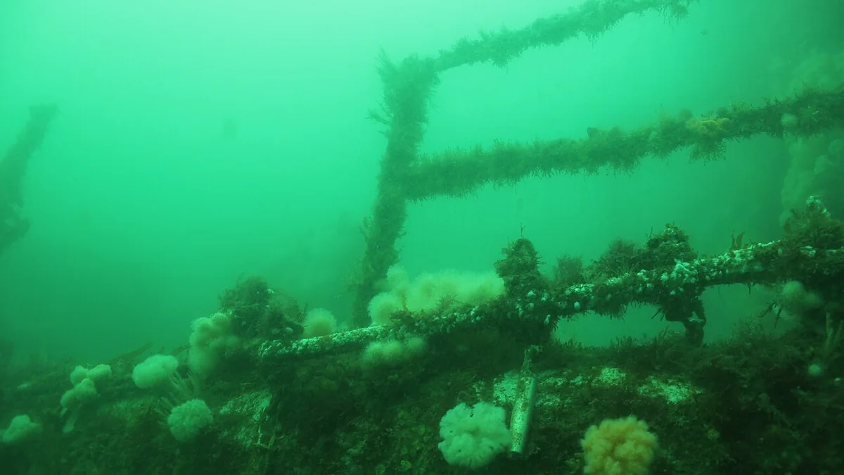 Wreck Diving in United Kingdom