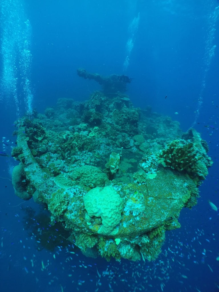 SS Umbria